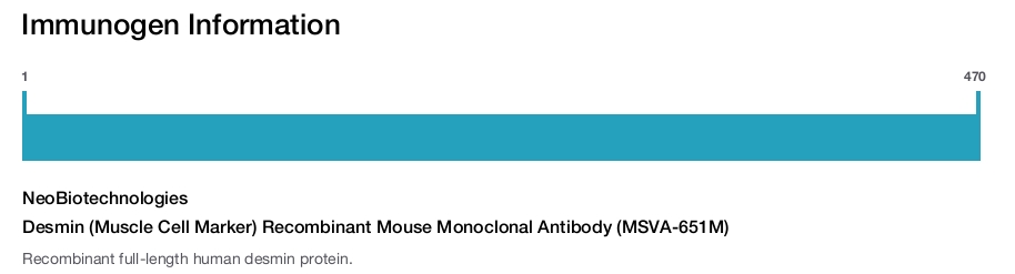 Desmin (Muscle Cell Marker) Recombinant Mouse Monoclonal Antibody (MSVA-651M)