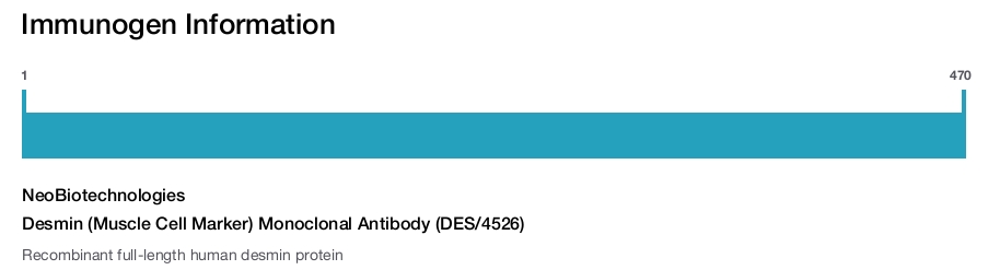 Desmin (Muscle Cell Marker) Monoclonal Antibody (DES/4526)