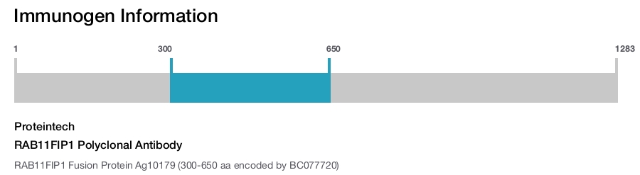 RAB11FIP1 Polyclonal Antibody