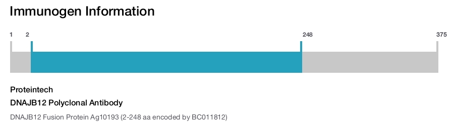 DNAJB12 Polyclonal Antibody