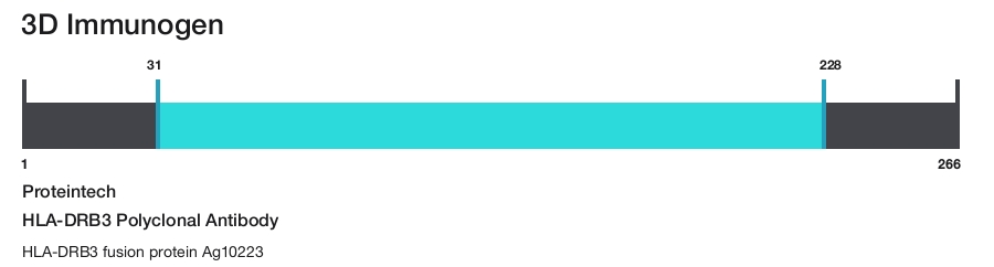 HLA-DRB3 Polyclonal Antibody