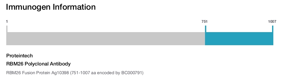 RBM26 Polyclonal Antibody