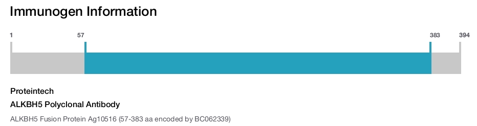 ALKBH5 Polyclonal Antibody
