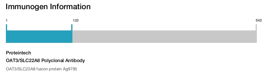 OAT3/SLC22A8 Polyclonal Antibody