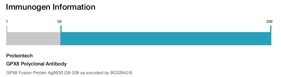 GPX8 Polyclonal Antibody