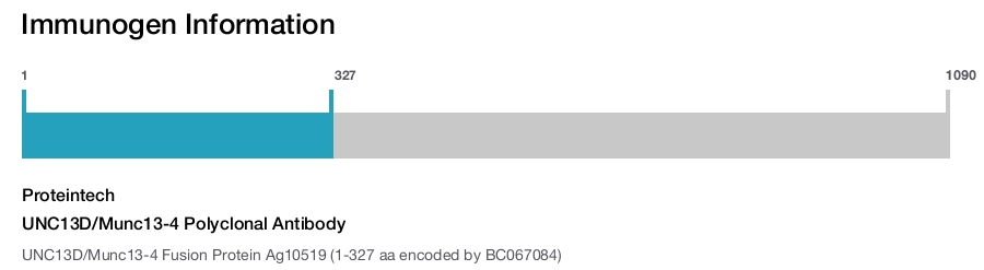 UNC13D/Munc13-4 Polyclonal Antibody