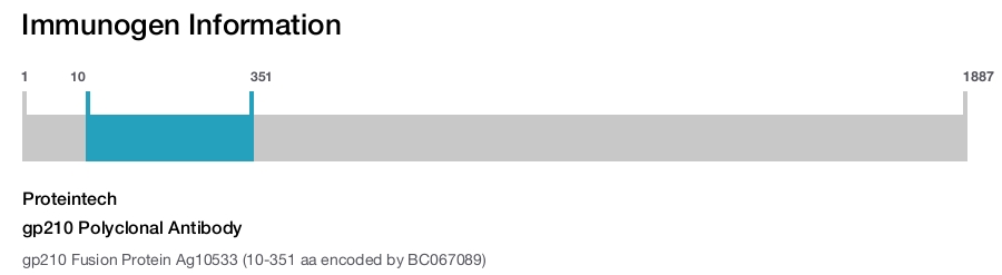 gp210 Polyclonal Antibody