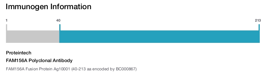 FAM156A Polyclonal Antibody