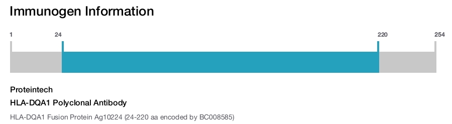 HLA-DQA1 Polyclonal Antibody