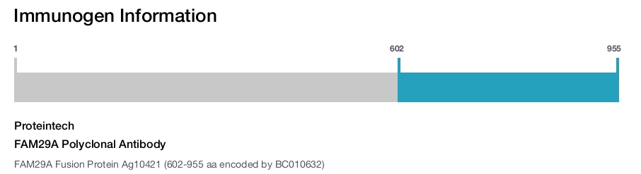 FAM29A Polyclonal Antibody