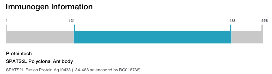 SPATS2L Polyclonal Antibody