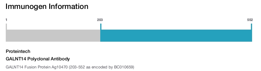 GALNT14 Polyclonal Antibody