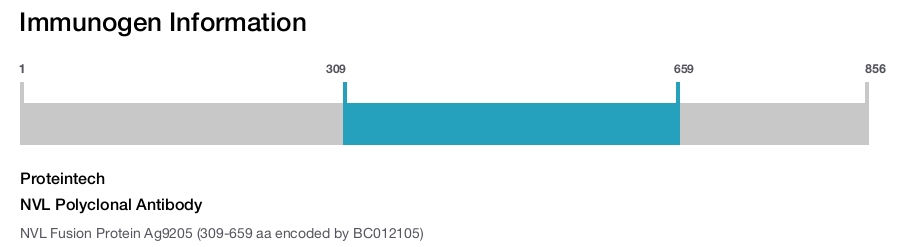 NVL Polyclonal Antibody