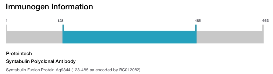 Syntabulin Polyclonal Antibody