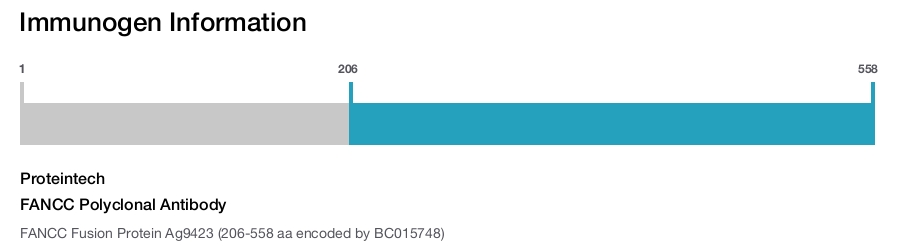 FANCC Polyclonal Antibody