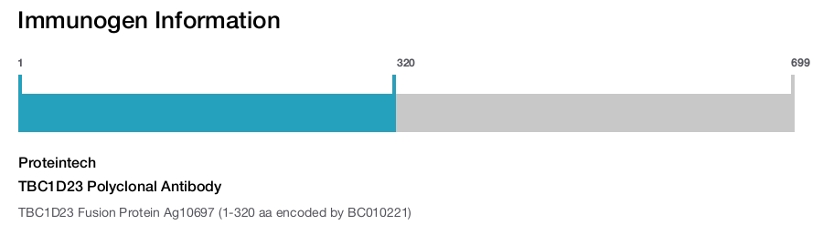 TBC1D23 Polyclonal Antibody