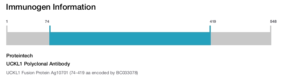 UCKL1 Polyclonal Antibody