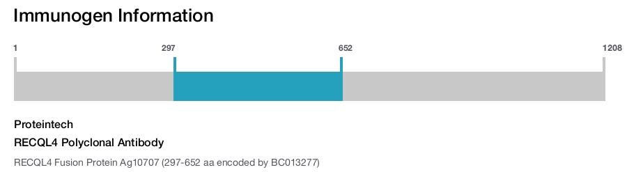 RECQL4 Polyclonal Antibody