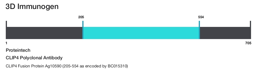 CLIP4 Polyclonal Antibody