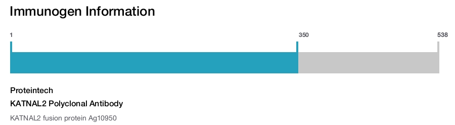 KATNAL2 Polyclonal Antibody