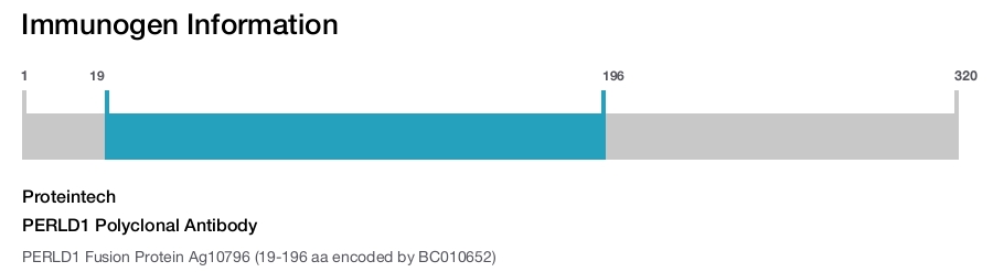 PERLD1 Polyclonal Antibody