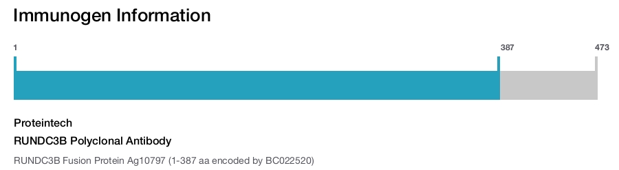 RUNDC3B Polyclonal Antibody