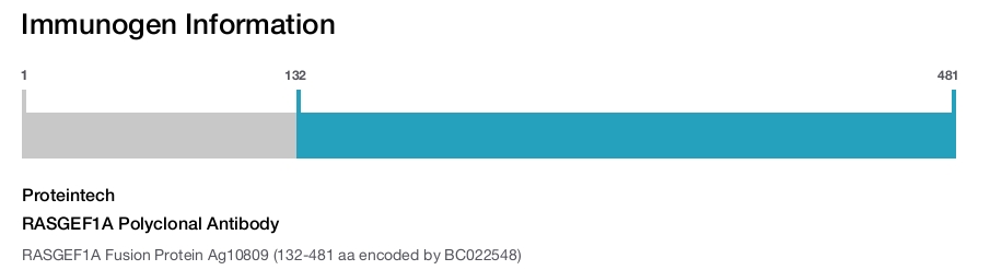 RASGEF1A Polyclonal Antibody