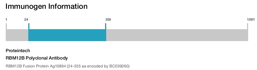 RBM12B Polyclonal Antibody