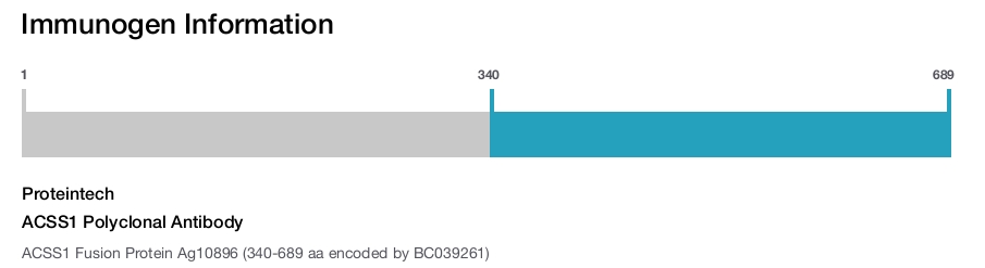 ACSS1 Polyclonal Antibody