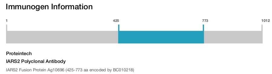 IARS2 Polyclonal Antibody