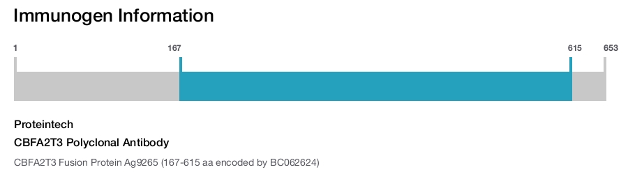 CBFA2T3 Polyclonal Antibody