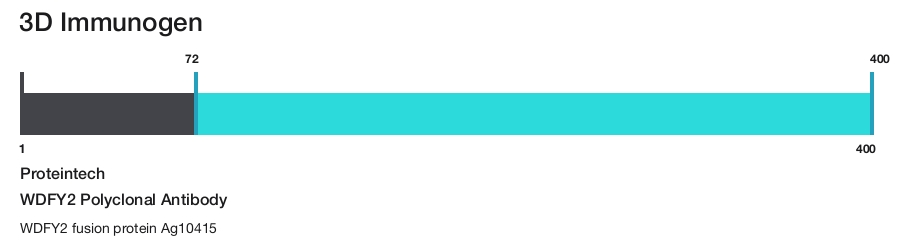WDFY2 Polyclonal Antibody
