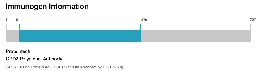 GPD2 Polyclonal Antibody