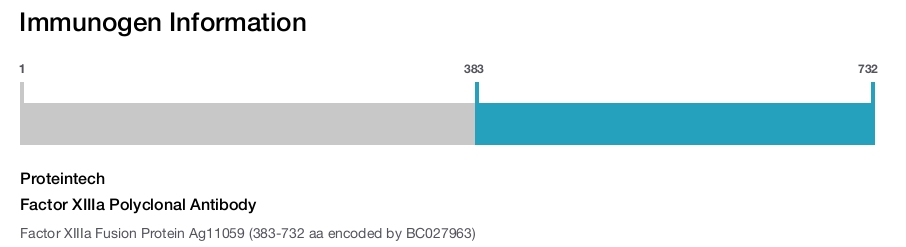 Factor XIIIa Polyclonal Antibody