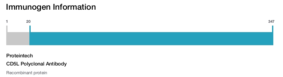CD5L Polyclonal Antibody