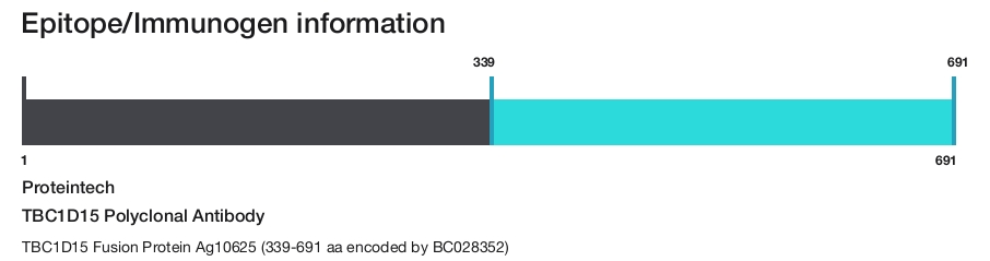TBC1D15 Polyclonal Antibody