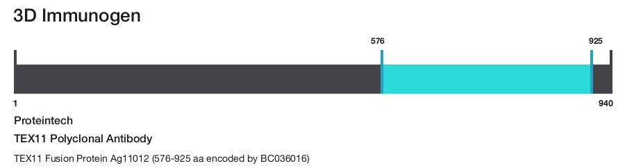 TEX11 Polyclonal Antibody