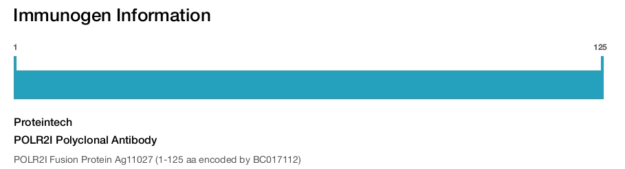 POLR2I Polyclonal Antibody