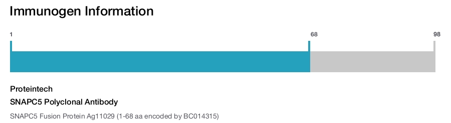 SNAPC5 Polyclonal Antibody