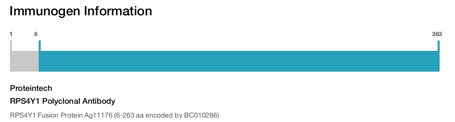 RPS4Y1 Polyclonal Antibody