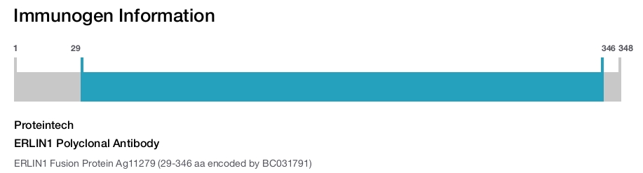ERLIN1 Polyclonal Antibody