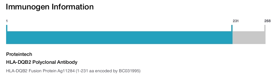 HLA-DQB2 Polyclonal Antibody