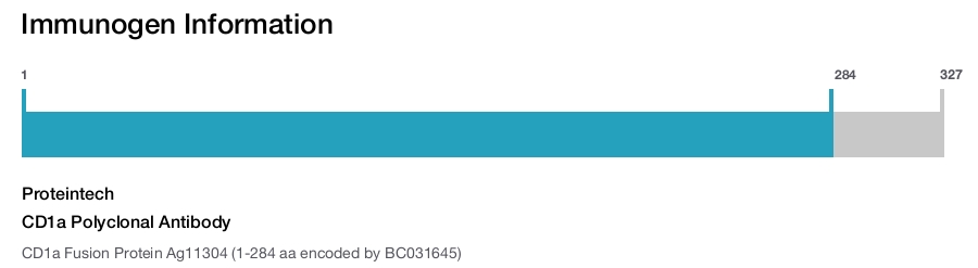 CD1a Polyclonal Antibody