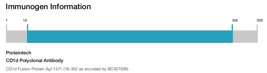 CD1d Polyclonal Antibody