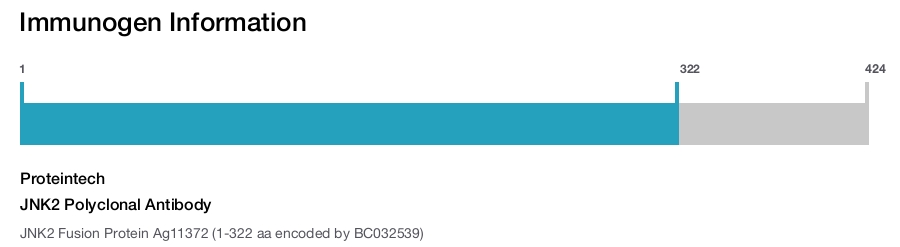 JNK2 Polyclonal Antibody