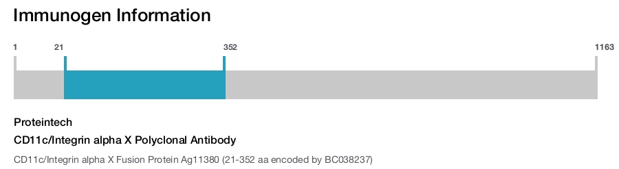 CD11c/Integrin alpha X Polyclonal Antibody