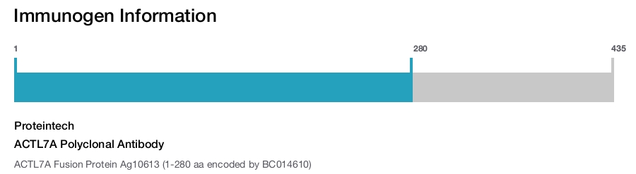ACTL7A Polyclonal Antibody