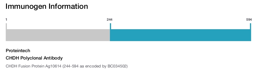 CHDH Polyclonal Antibody