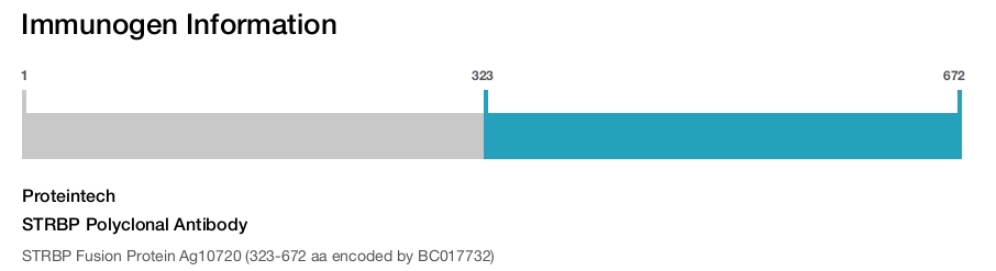 STRBP Polyclonal Antibody