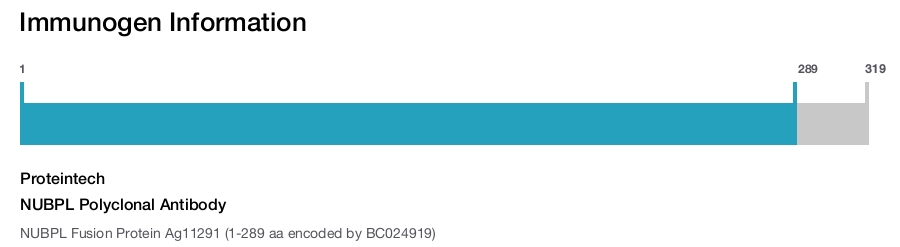 NUBPL Polyclonal Antibody